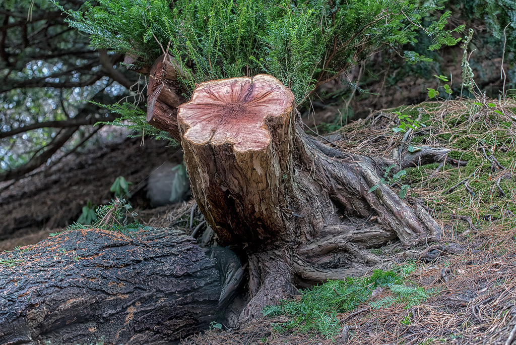 16X_5223-3-Kopie.jpg