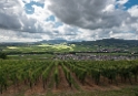 Elsass-09-(97)-1-Kopie