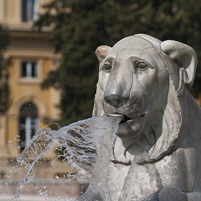 D33_4681--Rom-2010.jpg