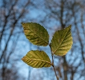 16X_4872-1-Kopie