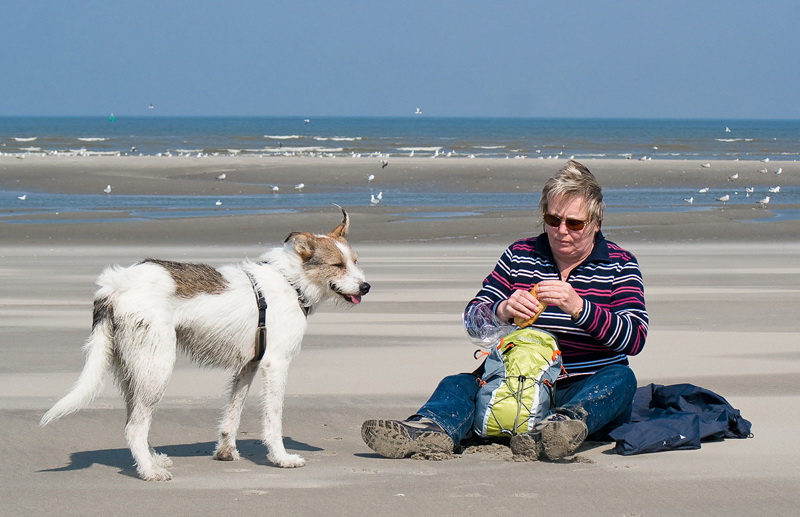 Holland-Tiere-Felix-20140420_0437.jpg