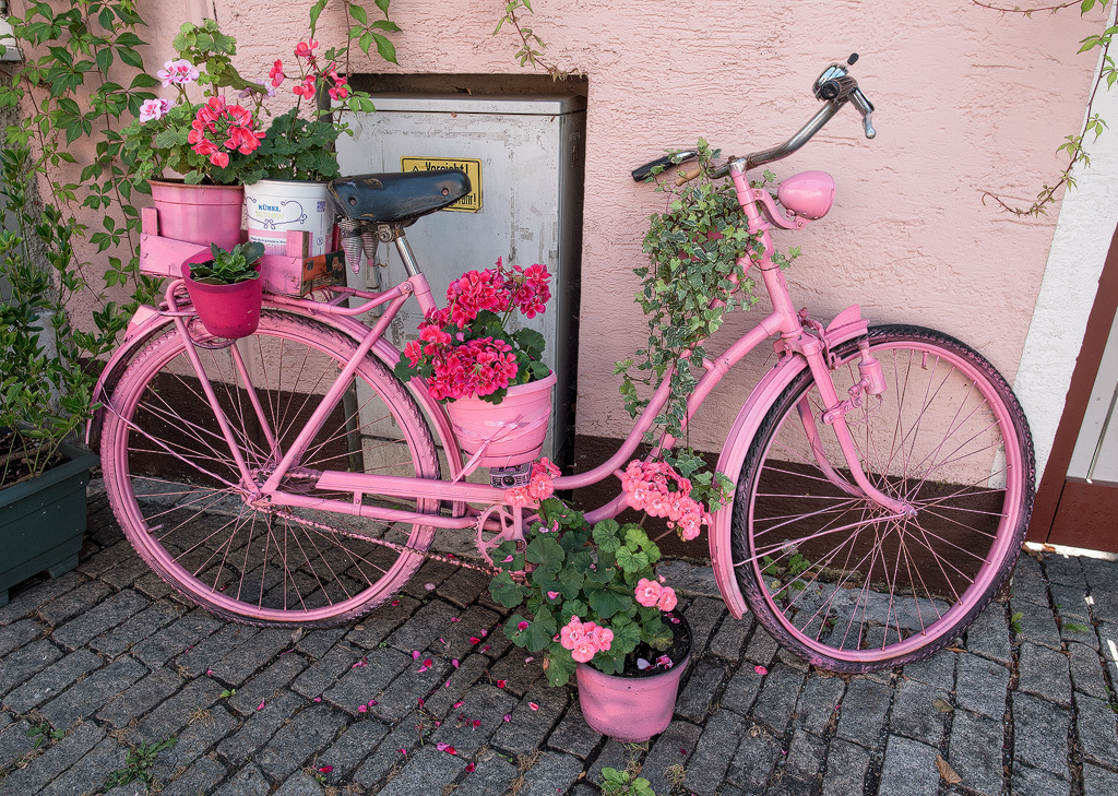 Bayern-08---2016_KA72752-1-Kopie.jpg - Mit diesem tollen Fahrad als Blumenständer