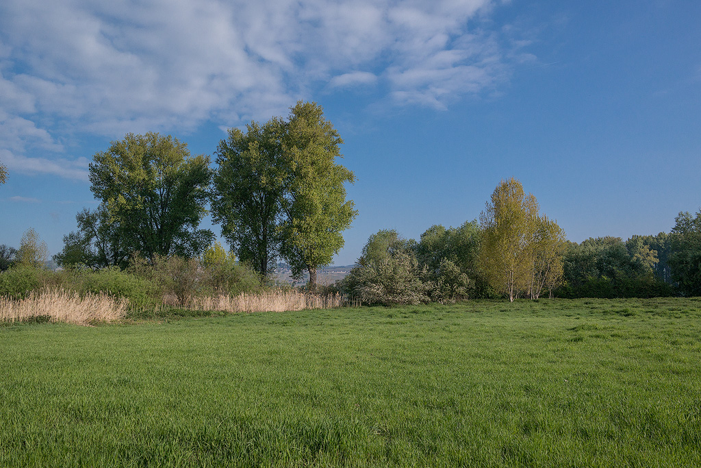Rhein-04---2017-Rhein-04---201704290006-1-Kopie.jpg