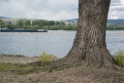 Rhein-04---2017-Rhein-04---201704270011-1-Kopie