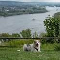 Rhein-04---2017-Rhein-04---201717X_6021-1-Kopie