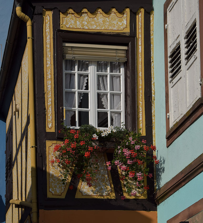 Elsass-09-(238)-1-Kopie.jpg