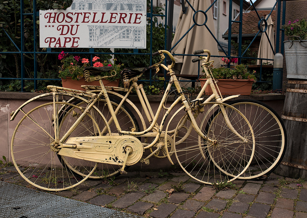 Elsass-09-(65)-1-Kopie.jpg