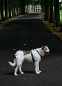 Eifel-Mosel-09---2018DSC_2358-1-Kopie