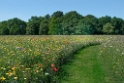DSC_4284-Münsterland-07
