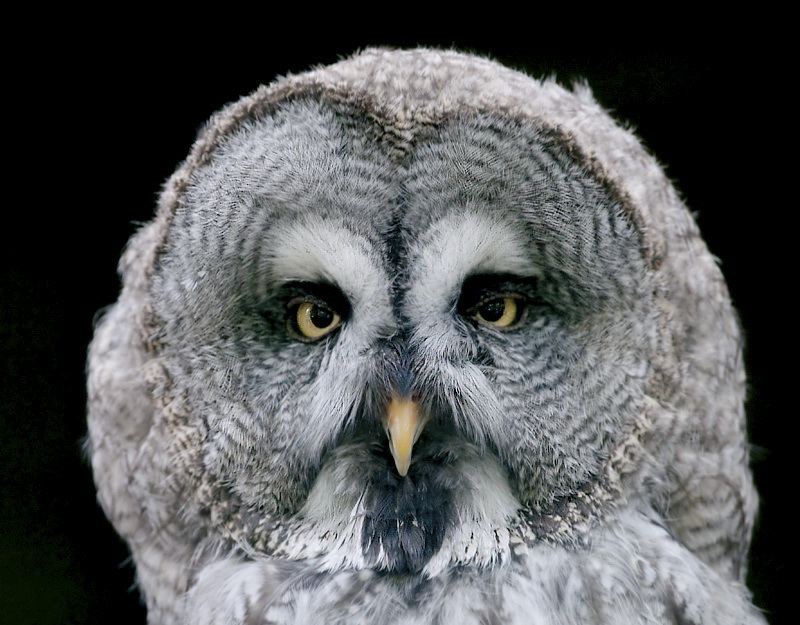 123Tiere-D34_8732-Kopie.jpg - Zoo Dortmund