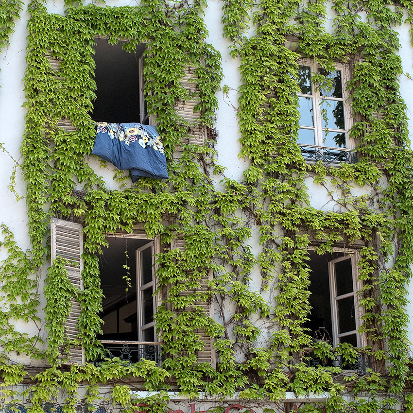 Rhein-04---2017-Rhein-04---201717X_5713-1-Kopie.jpg - Es wird nie langweilig beim Bummel durch Straßburg