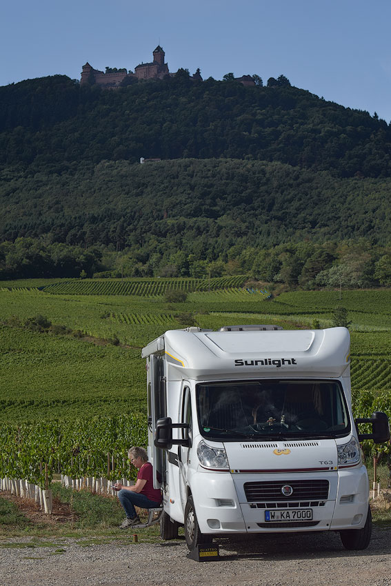 Elsass-09-(150)-1-Kopie.jpg - Sehr schöner Stellplatz in den Weinbergen