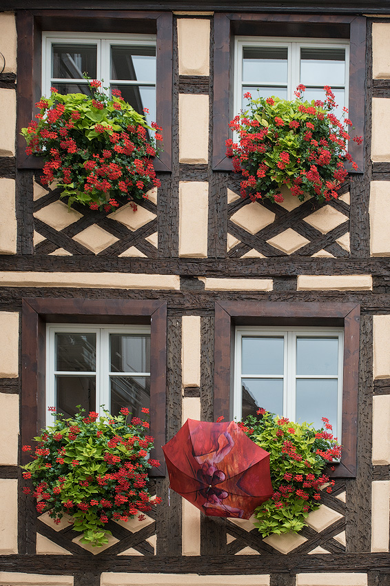 Elsass-09-(51)-1-Kopie.jpg - So viele sehendswerte Orte die meist nur ein paar Kilometer voneinander entfernt sind hatten wir auf unseren Touren noch nie