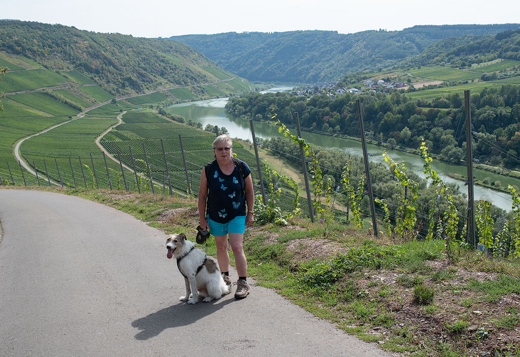 Eifel-Mosel-09---201818X_8520-1-Kopie.jpg - Schöner Weg - tolles Wetter - an der Mosel entlang