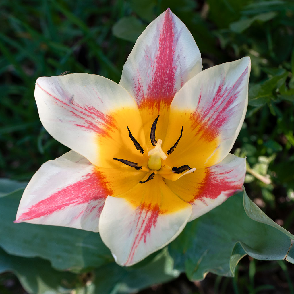 19X_9657.jpg - Im Stadtgarten