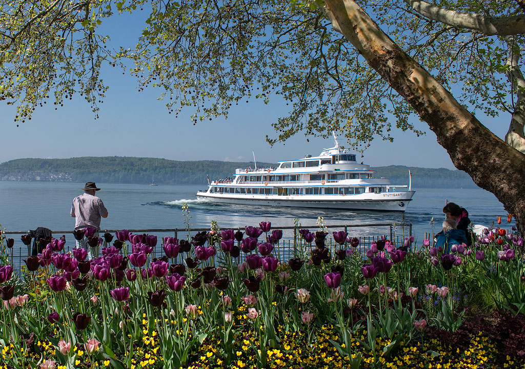 DSC_3969.jpg - Promenade von Überlingen