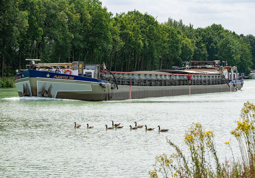 DSC_4256-Münsterland-07.jpg - Spaziergang am Kanal - Greven Yachthafen