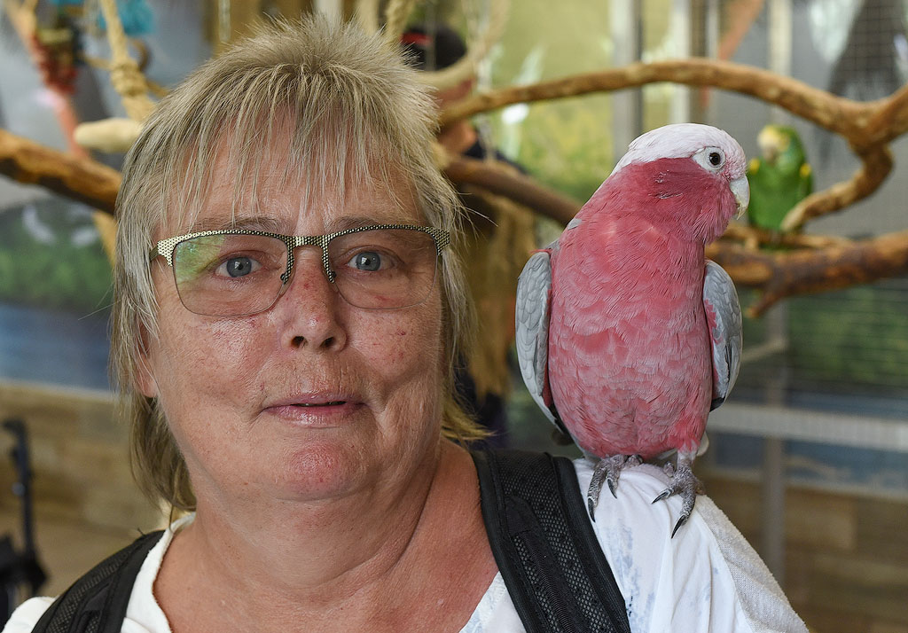 DSC_0316-Tour-Ostsee-08.jpg - Besuch im Vogelpark Marlo