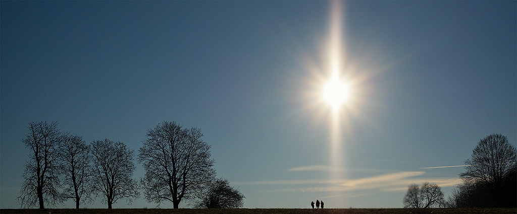 Baum-Sonne-WTLSAM_1151-1-Kopie-2.jpg