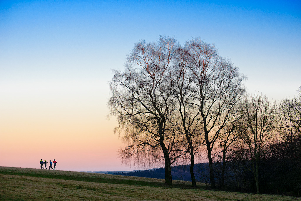 Baum-16X_5139-3-Kopie.jpg