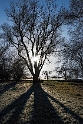 16X_5018-1-Kopie-2