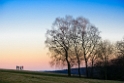 Baum-16X_5139-3-Kopie