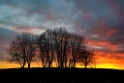 Sonnenuntergang-WTL-SAM_1100-1-Kopie